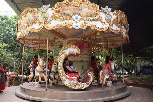 Luxury Carousel